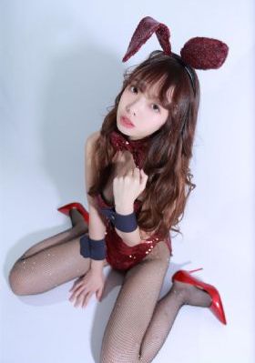 布鲁伊第一季中文版免费观看